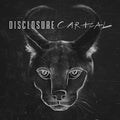 the album cover for Disclosure - Caracal