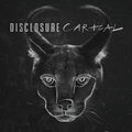 the album cover for Disclosure - Caracal [Deluxe]