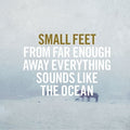 the album cover for Small Feet - From Far Enough Away Everything Sounds Like The Ocean [Vinyl]