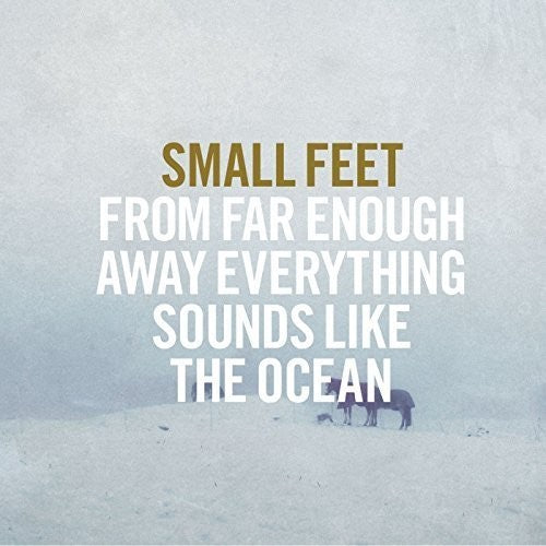the album cover for Small Feet - From Far Enough Away Everything Sounds Like The Ocean [Vinyl]