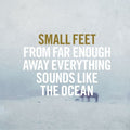 the album cover for Small Feet - From Far Enough Away Everything Sounds Like
