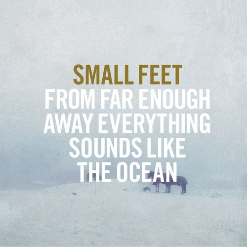 the album cover for Small Feet - From Far Enough Away Everything Sounds Like