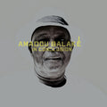 the album cover for Amadou BalakÃ© - In Conclusion