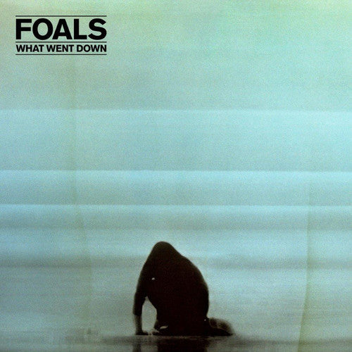 the album cover for Foals - What Went Down [Deluxe w/DVD]