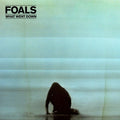 the album cover for Foals - What Went Down [Vinyl]
