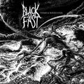 the album cover for Black Fast - Terms of Surrender