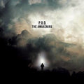 the album cover for P.O.D. - The Awakening