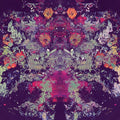 the album cover for Emilie - 10 000 [Vinyl]
