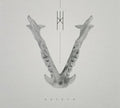 the album cover for Crown - Natron
