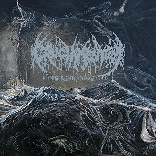 the album cover for Cruciamentum - Charnel Passages