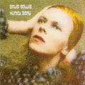 the album cover for David Bowie - Hunky Dory