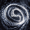 the album cover for Bauda - Sporelights