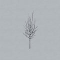 the album cover for Low - Ones & Sixes [Download Included]
