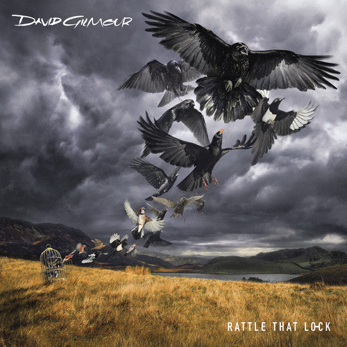 the album cover for David Gilmour - Rattle That Lock [Deluxe Edition] [CD/BR] [Box Set]