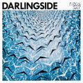the album cover for Darlingside - Birds Say [Vinyl]