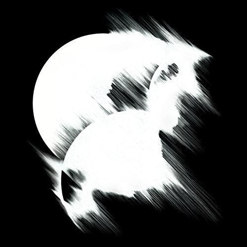 the album cover for Lakker - Tundra Remixed