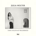 the album cover for Julia Holter - Have You in My Wilderness