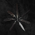 the album cover for Caspian - Dust and Disquiet