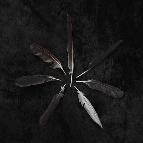 the album cover for Caspian - Dust and Disquiet