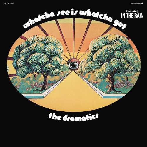 the album cover for The Dramatics - Whatcha See Is Whatcha Get [Vinyl]