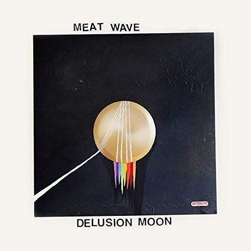 the album cover for Meat Wave - Delusion Moon