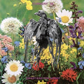 the album cover for Current 93 - Swastikas for Noddy/Crooked Crosses for the Nodding God