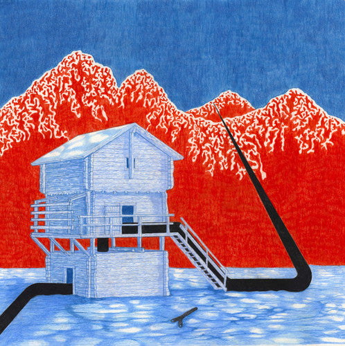 the album cover for Le Millipede - Le Millipede