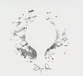 the album cover for Sigur Ros - () [Digipak]
