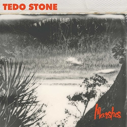 the album cover for Tedo Stone - Marshes