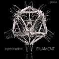the album cover for Dessner / Eighth Blackbird / Dessner / Muhly - Filament