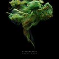 the album cover for Family Silver - Hypermoment