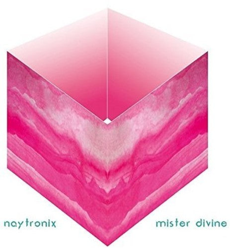 the album cover for Radio Citizen - Mister Divine