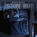 the album cover for Hawthorne Heights - If Only You Were Lonely [Vinyl]
