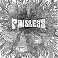 the album cover for Paisley - Cosmic Mind at Play
