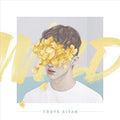 the album cover for Troye Sivan - Wild