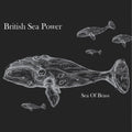 the album cover for British Sea Power - Sea of Brass
