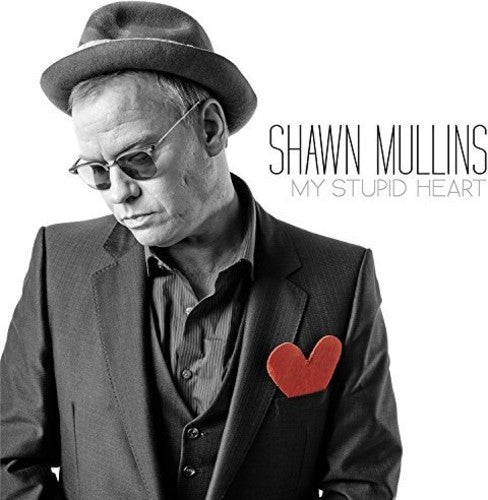 the album cover for Shawn Mullins - My Stupid Heart