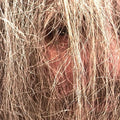 the album cover for Luminous Bodies - Luminous Bodies