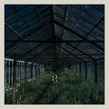 the album cover for Foxing - Dealer [Vinyl]