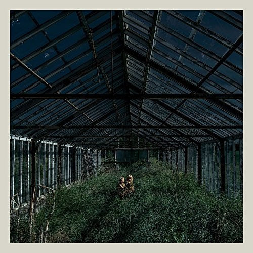 the album cover for Foxing - Dealer [Vinyl]