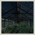 the album cover for Foxing - Dealer