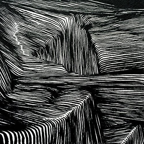 the album cover for Maritime - Magnetic Bodies / Maps Of Bones [Vinyl]