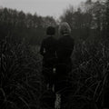the album cover for Goldmund - Sometimes