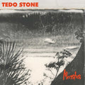 the album cover for Tedo Stone - Marshes [Vinyl]