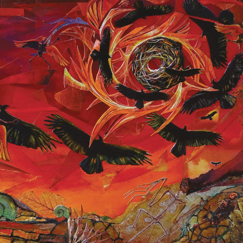 the album cover for Intronaut - The Direction Of Last Things [Vinyl]