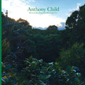 the album cover for Anthony Child - Electronic Recordings from Maui Jungle Vol. 1