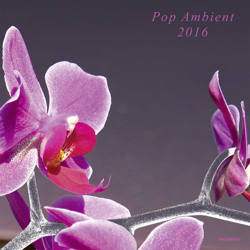 the album cover for Pop Ambient 2016 / Various - Pop Ambient 2016