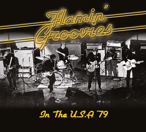 the album cover for Flamin' Groovies - In the U.S.A '79