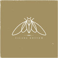 the album cover for Cicada Rhythm - Cicada Rhythm [Vinyl]