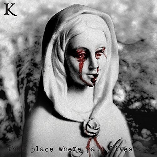 the album cover for King 810 - That Place Where Pain Lives [10 Inch Vinyl Single w/Etched B-Side, Hand Numbered]